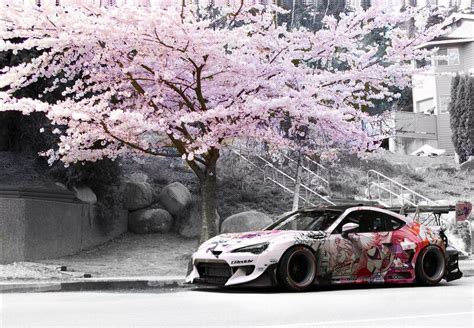 livery wallpaper sakura theme